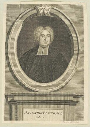 Bildnis des Antonius Blackwall