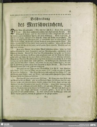 Beschreibung des Meerschweinchens