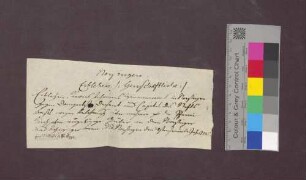 Revers des Johannes Zimmermann von Norsingen gegenüber dem Basler Domkapitel.