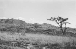 Vegetationslandschaft : Landschaft westlich Ghelemso (Chercher-Gebirge).