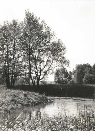 Oberlausitz. Wesenitzbogen bei Großharthau