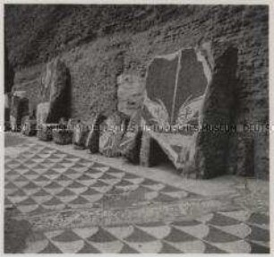 Rom, Caracalla-Thermen, Mosaikfußboden und -fragmente