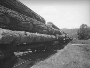 Holztransport : Zug mit Holz beladen