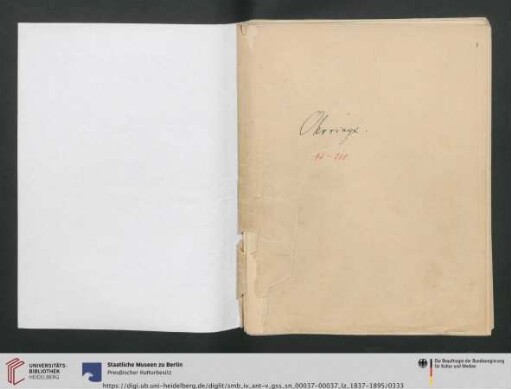 Ohrringe 46-210