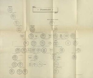 Stammtafel