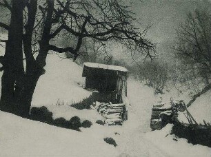 Alte Mühle. Hofgastein im Winter