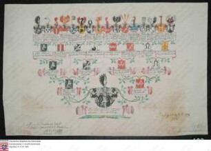 Ahnenprobe des Emmerich Joseph Carl v. Warsberg. - ausgefertigt 1770 März 7, Zeichner Joseph Melber