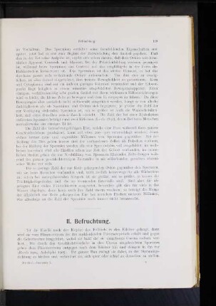 II. Befruchtung.