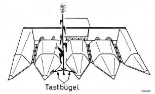 Tastbügel am Maisgebiss