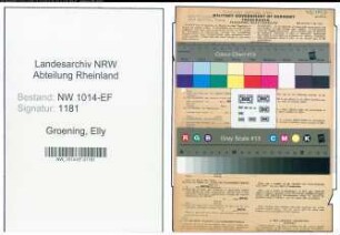 Entnazifizierung Elly Groening , geb. 12.10.1899 (Kaufmaennische Angestellte)