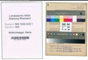 Entnazifizierung Maria Wollschlaeger , geb. 08.12.1898 (Lehrerin)