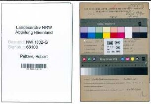 Entnazifizierung Robert Peltzer, geb. 29.09.1893 (Schlosser)