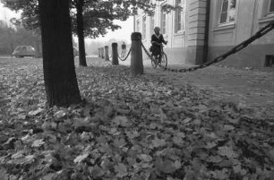 "Goldener Oktober" am Schlossplatz