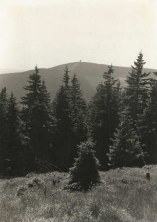 Harz. Blick von der Brockenstraße gegen Wurmberg (941 m, mit Sprungschanzenturm (ehem. BRD))