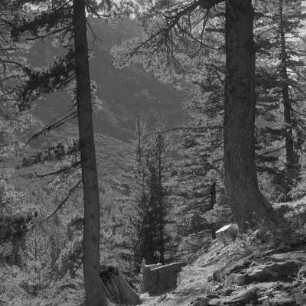 Landschaftsbild vom Pirin-Gebirge