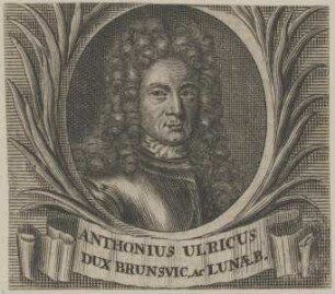 Bildnis des Anthon Ulricus