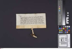 Babenhausen: Graf Reinhard von Hanau gestattet der Stadt Babenhausen an ben. Orten eine gemeinsame Weide ( .... ) anzulegen.