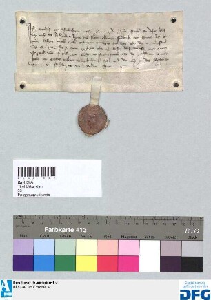 Egelolf von Schellenberg quittiert mit diesem Brief, dass ihm sein Herr König Friderich von Rom(e) 60 Mark Silber Konstanzer Gewicht (Costenzer gewegs) auf das Gut, das er ihm schuldig ist, gegeben hat. Siegler: Egelolf von Schellenberg