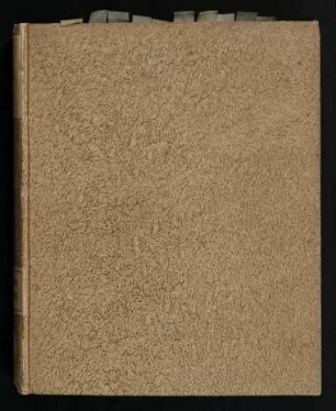 Programma Quo De Apocalypsi Ex Irenæi Lib. V. Cap. 30. Disserit Et Prælectiones In Apocalypsin Hyberno Hoc Semestri Instituendas Indicit