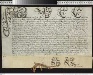 Aussteller: Pius VI. Empfänger: Graf Johann Nepomuck Karl von Hohenzollern-Hechingen. Betreff: Erhebung zum Bischof von Dibona [Dibon / Dhiban in der römischen Provinz Syria Palaestina] und zum Coadjutor c.i.s. des Andrzej Ignacy z Broniewic Baier, Bischof von Kulm. (kleine Ausfertigung).