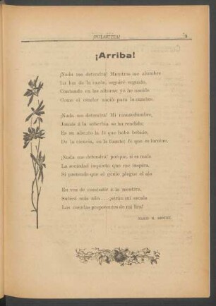 ¡Arriba!