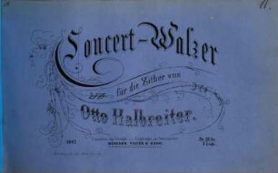 Concert-Walzer für die Zither