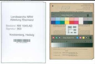 Entnazifizierung Hedwig Knickenberg , geb. 18.05.1905 ()