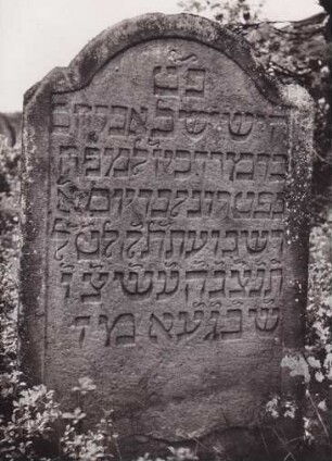 Judenfriedhof. Grabstein