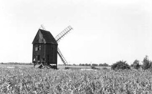 Großtreben-Zwethau-Rosenfeld. Blick zur Bockmühle