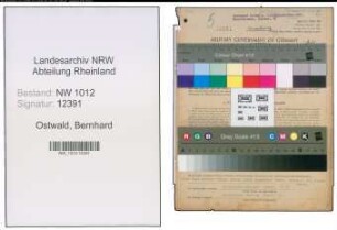 Entnazifizierung Bernhard Ostwald , geb. 08.08.1898 (Schuhmacher)