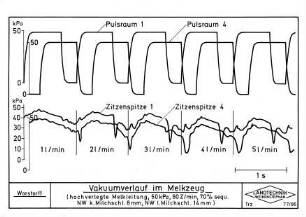 Vakuumverlauf im Melkzeug (hochverlegte Melkleitung, 50 kPa, 60 Z/min, 70 % sequ. NW k. Milchschl. 8 mm, NW l. Milchschl. 14 mm)