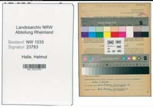 Entnazifizierung Helmut Halle , geb. 09.07.1910 (Abteilungsleiter)