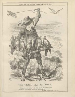 The grand old falconer