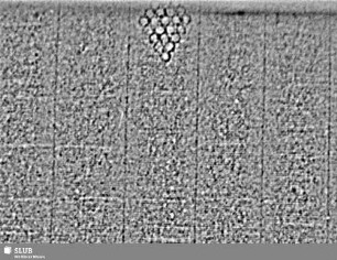 Wasserzeichen S.11_12