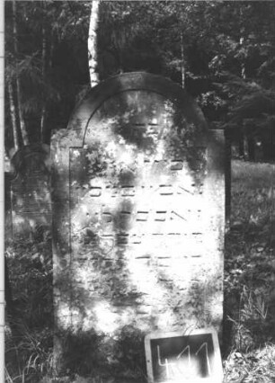 Grabstein 411 (Index: 99895867) Material: Sandstein Zustand: bewachsen, im unteren Teil verwittert Maße HxBxT: 108x59x17 cm Beschreibung: Stele mit eingezogenem Rundbogenabschluss: Grabstein 411 (1)