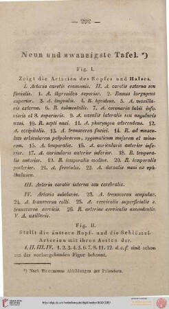 Neunundzwanzigste Tafel [Arterien des Kopfes und Halses]