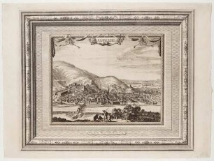 Heidelberg, Stadt und Schloss von Norden