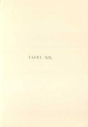 Tafel XIX.