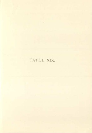 Tafel XIX.