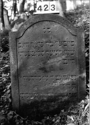 Grabstein 423 (Index: 99803684) Material: Sandstein Zustand: unten verwitt/Textverlust Maße HxBxT: 90x64x8 cm Beschreibung: Stele mit Karniesbogen, profiliert. Rand: Grabstein 423