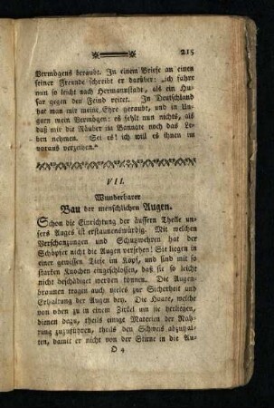Wunderbarer Bau der menschlichen Augen