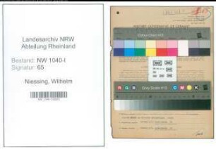 Entnazifizierung Wilhelm Niessing , geb. 02.08.1888 (Fabrikant)