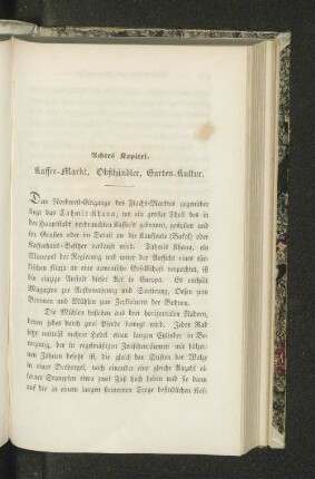 Achtes Kapitel. Kaffee-Markt, Obsthändler, Garten-Kultur.