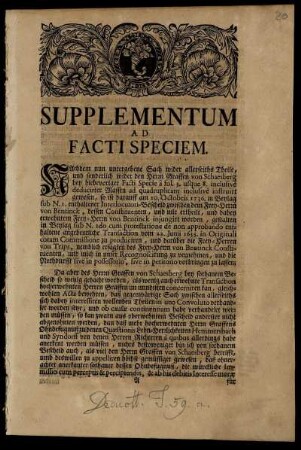 Supplementum ad facti speciem.