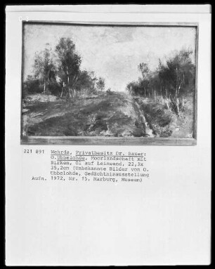 Moorlandschaft mit Birken