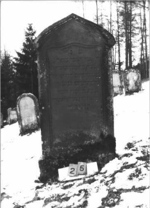 Grabstein 25 (Index: 99608709) Material: Sandstein Zustand: gut Maße HxBxT: 146x66x18 cm Beschreibung: Stele auf Sockel, flacher Kielbogen, vertiefter Textteil mit geschwungenem Abschluß: Grabstein 25