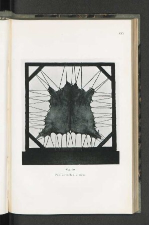 Fig. 29.
