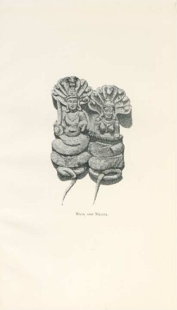 Naga and Nagini