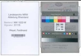 Entnazifizierung Ferdinand Weyel , geb. 11.12.1880 (Spediteur)