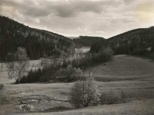 Osterzgebirge. Im Naturschutzgebiet Bienhof bei Gottleuba